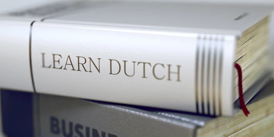Voordelen van Nederlandse lessen voor persoonlijke en professionele groei