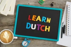 online Nederlands leren