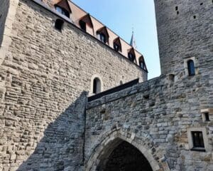 Verken de middeleeuwse architectuur van de charmante stad Tallinn, Estland