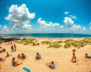 Waarom is de Belgische kust populair in de zomer?