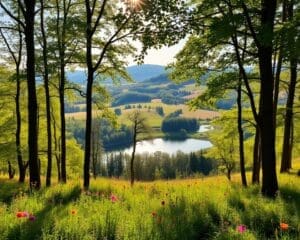 natuurgebieden België